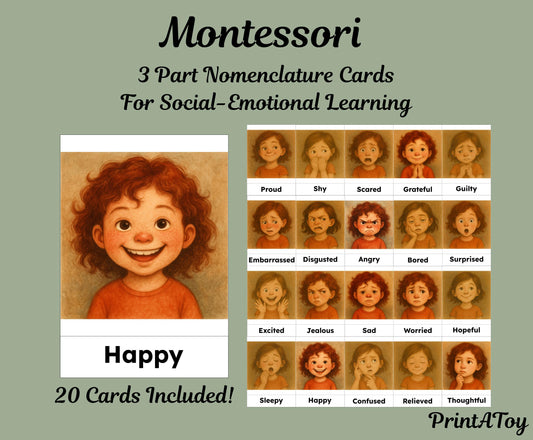 Emotions Nomenclature Cards