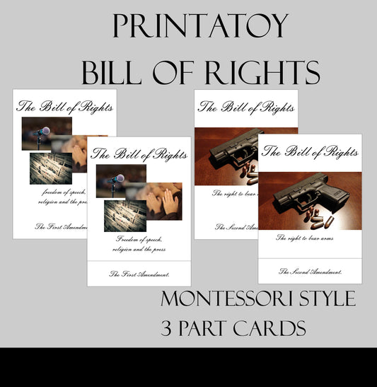 Bill of Rights 3-Part Cards