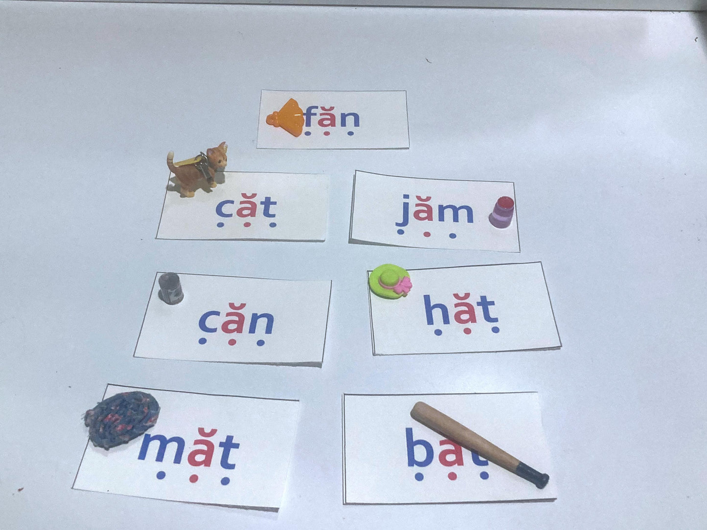 Educational flashcards with matching miniature figurines for Montessori instruction, pictured on a white surface.
