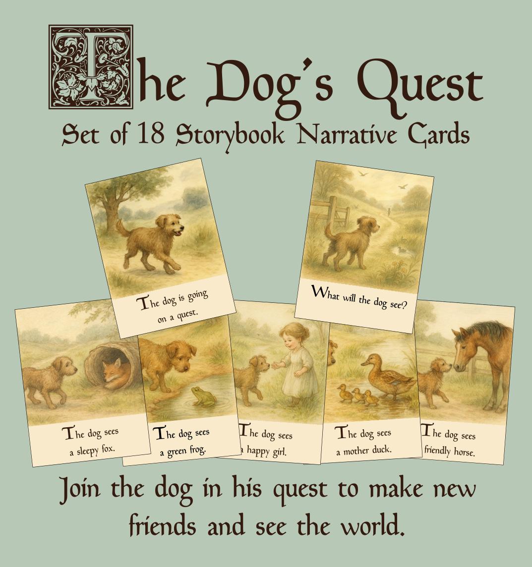 The Dog's Quest - Set of 18 Storybook Narrative Cards